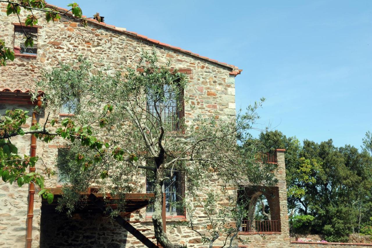 Le Mas Des Colombes Chambres D'Hotes B&B & Spa Oms Eksteriør billede